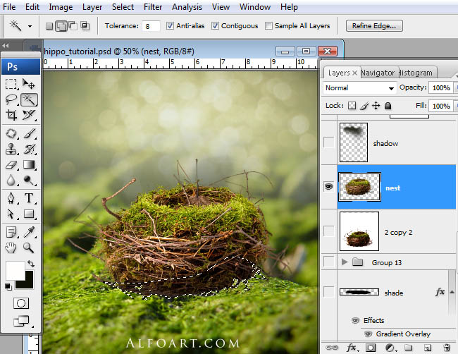 hippo, photoshop, nest, egg, shell, flying hippo, cute, baby, wings, hippopotamus, feathers